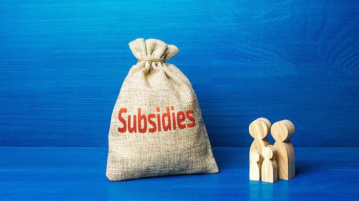 Family-Figurines-And-Subsidies-409746289-web-1920w.jpg