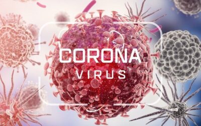Separating Fact From Fiction on the Coronavirus