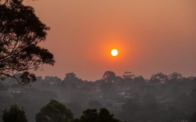 How Wildfire Smoke Affects Air Quality and Health