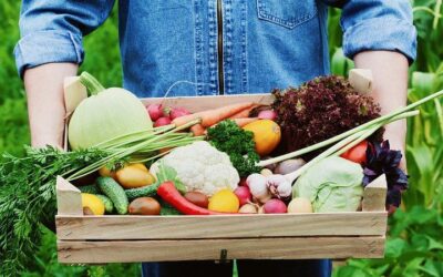 Fun While Feeding the Family: Planting Summer Fruits and Vegetables