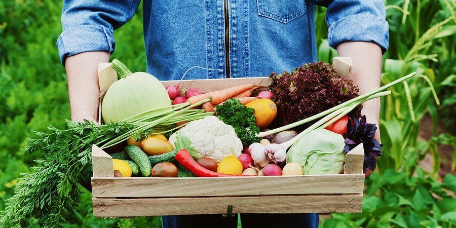 Vegetables-145213343_orig-1920w.jpg