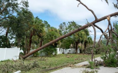 Commercial Hurricane Insurance: What To Know
