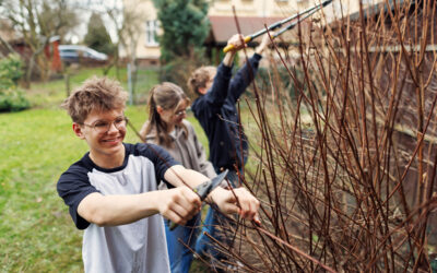 Help Protect the Outside of Your Home from Fire